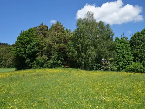 Rackersberg - Haßlach - Kleinlesau