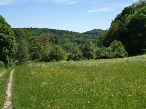Von Hohenstein nach Siglitzberg und zurück