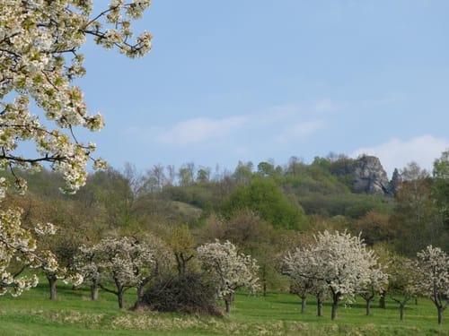 Ebermannstadt – Wiesenthau