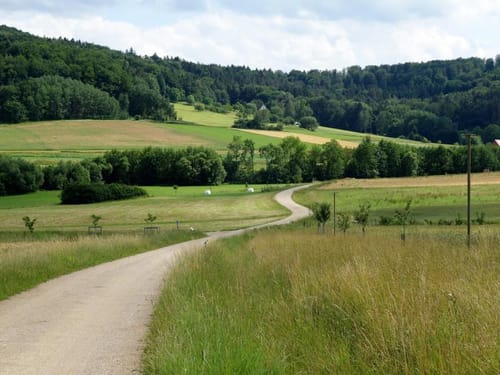Über die Felder ab Kucha