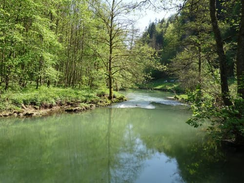 Durch das Wiesenttal zur Oswaldhöhle und Riesenburg nach Behringsmühle