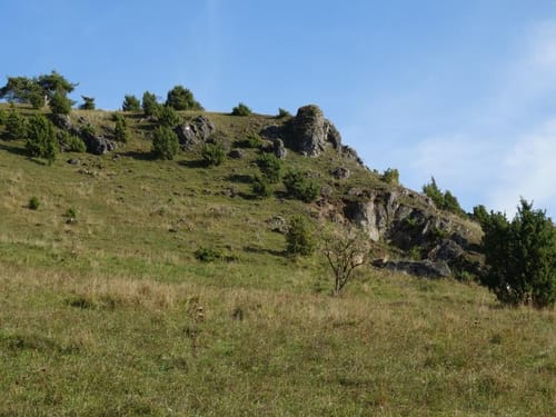 Von Hilzhofen zum Mühlberg