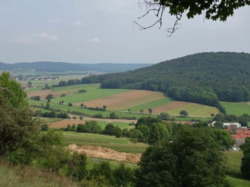 Obermässinger Waldweg