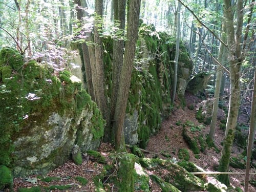Eibgrat und Reuthof