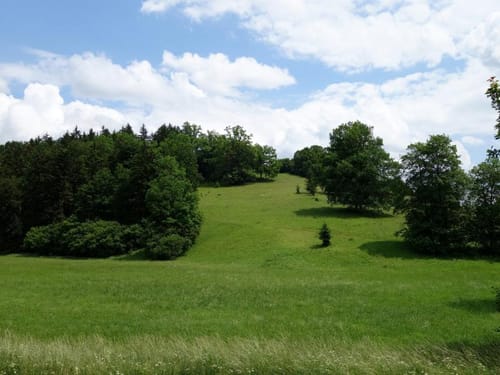 Raitenbuch Kuchentalweg
