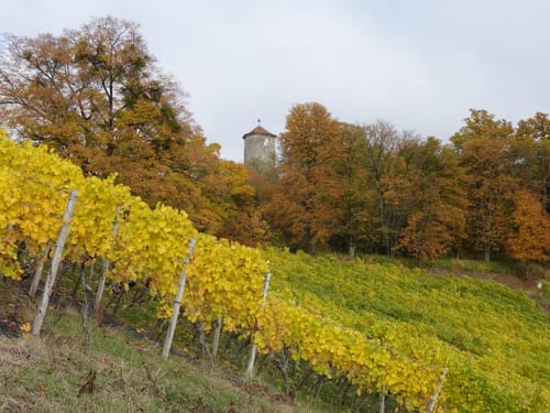 Castell - Wiesenbronn Rundweg