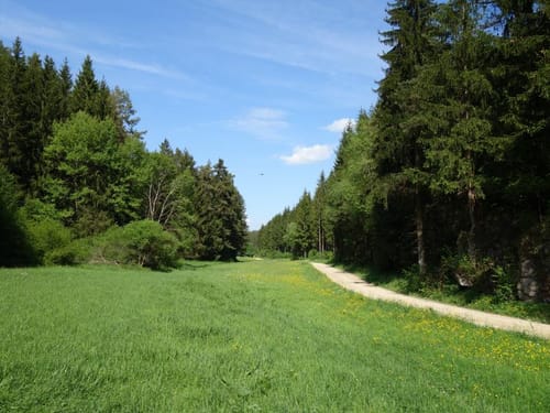 Naturkundlicher Rundwanderweg Plech