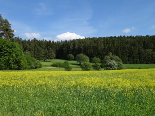 Plech nach Ranna durch dem Veldensteiner Forst