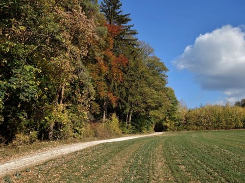 Happurg Trail [CLOSED]