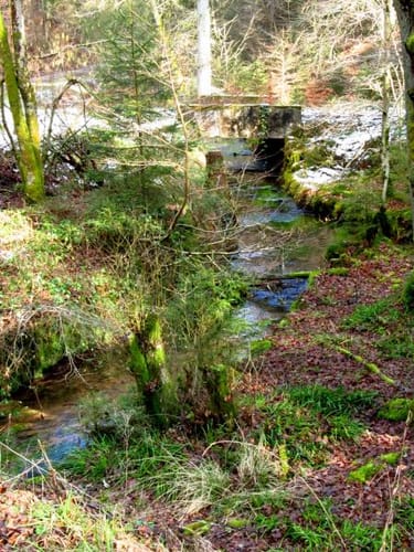 Waldleiningen - Ungerbach -Leinbachtal