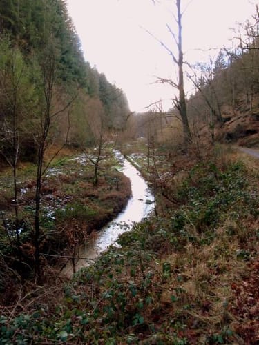 Waldleiningen - Ungerbach -Leinbachtal