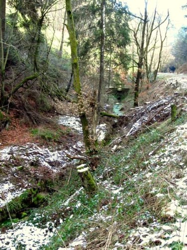 Waldleiningen - Ungerbach -Leinbachtal