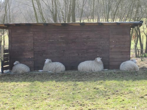 Tippeltour 294 Kölner-Stadt-Anzeiger