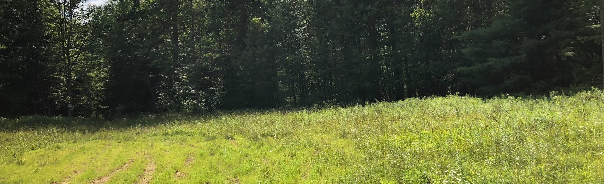 Stone Quarry Trail 12 Reviews, Map Pennsylvania AllTrails