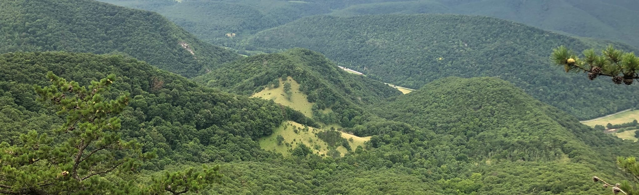 North Fork MTB Loop, West Virginia 3 Reviews, Map AllTrails