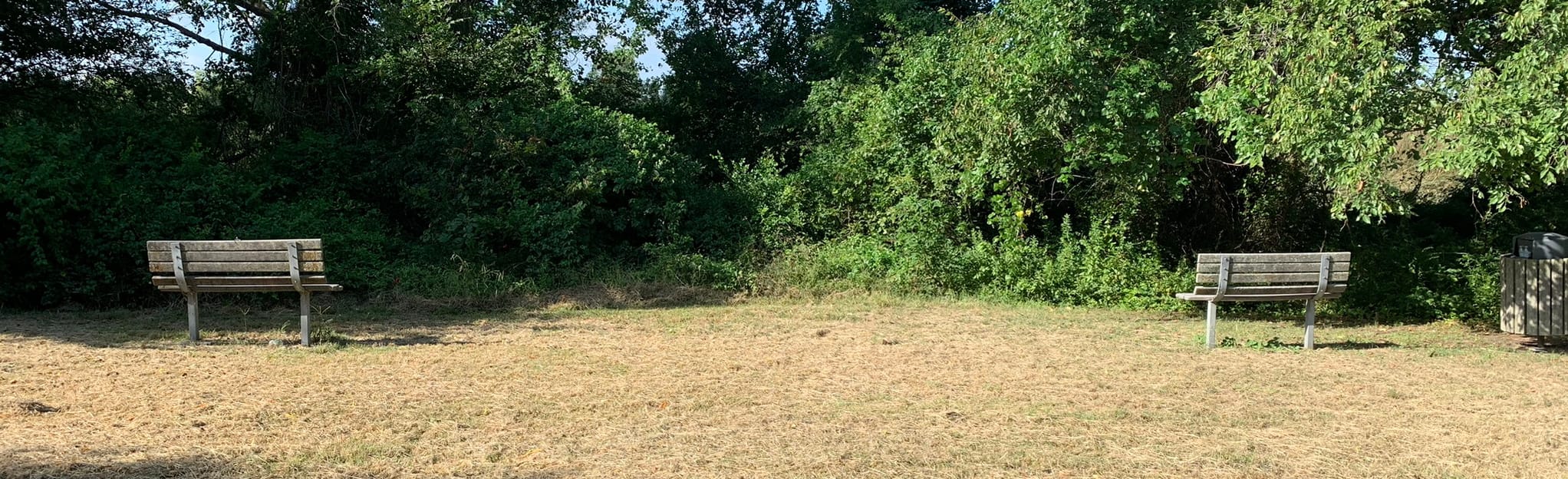 Wallace Park Nature Trail 29 Reviews, Map Texas AllTrails