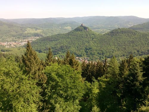 Rehbergturm