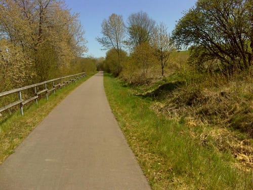 Von Höfchen nach Waldrach entlang der Ruwer