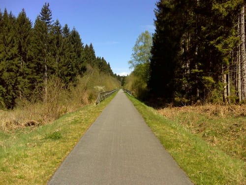Von Höfchen nach Waldrach entlang der Ruwer
