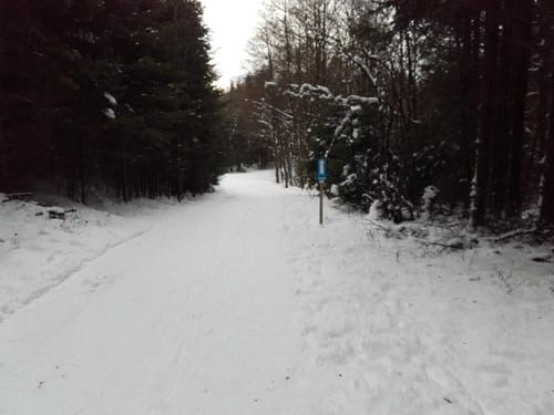 Skilanglaufloipe Weißer Stein (4 km)