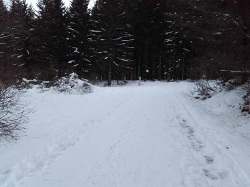 Skilanglaufloipe Weißer Stein (4 km)