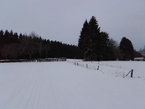 Skilanglaufloipe Weißer Stein (4 km)