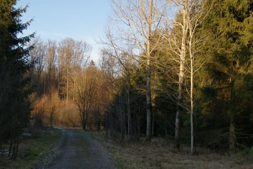 Matzenhofen - Christertshofen (Kreis Neu-Ulm Tour Nr. 19)
