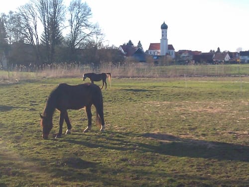 Wallenhausen - Biberberg (Landkreis Neu-Ulm Tour Nr. 26)