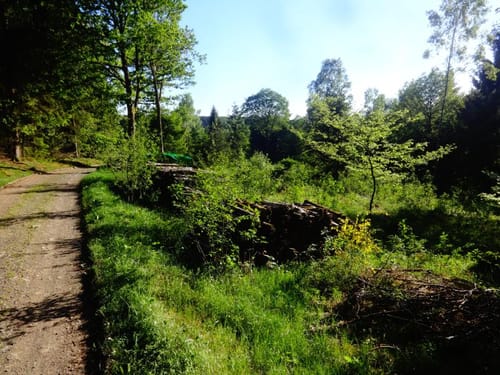 Herdorf - Sottersbachtal