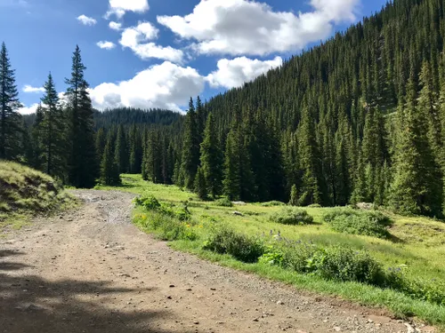 2023 Best 10 Trails and Hikes in Lake City | AllTrails