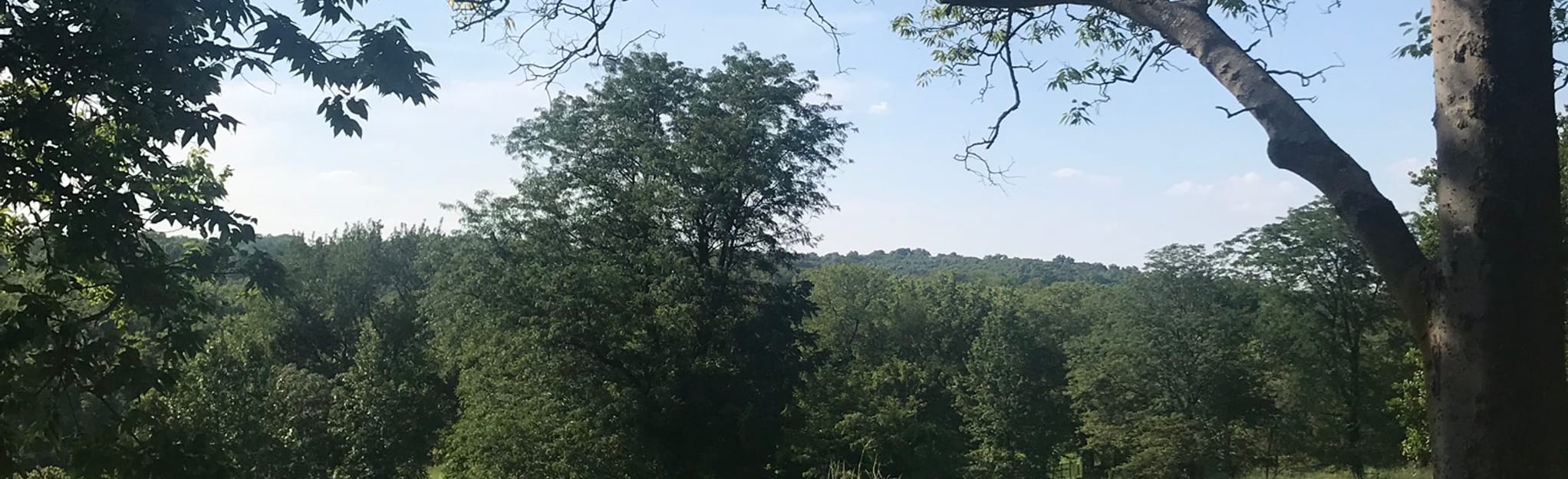 Hawk, Goose, and Owl Creek Loop 213 Reviews, Map Missouri AllTrails