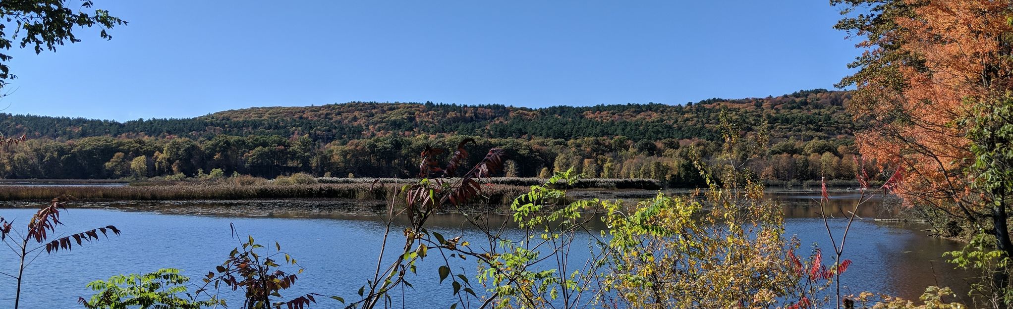 fort-hill-recreational-rail-trail-54-reviews-map-new-hampshire