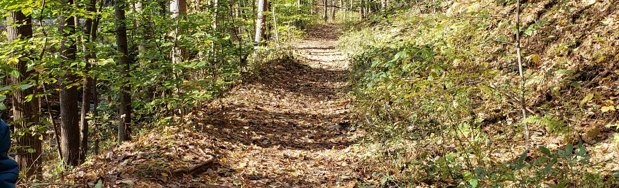 Walnut Run Trail 203 Reviews, Map Pennsylvania AllTrails