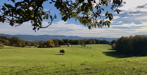 Rundwanderweg Mörlenbach 4: Obstwiesenweg