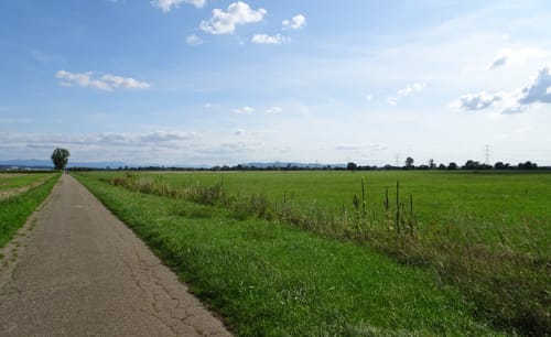 Von Kappel um Kaiserstuhl