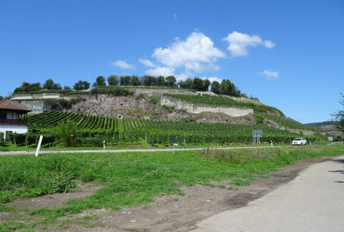 Von Kappel um Kaiserstuhl