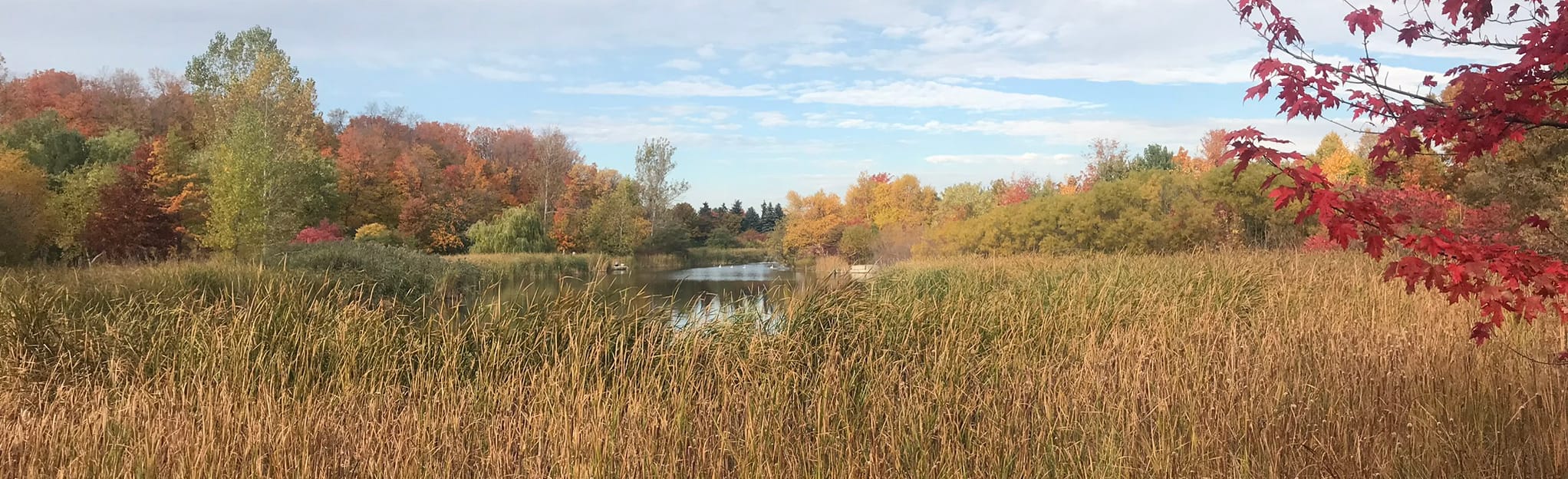 Milliken Park Loop 166 Reviews, Map Ontario, Canada AllTrails