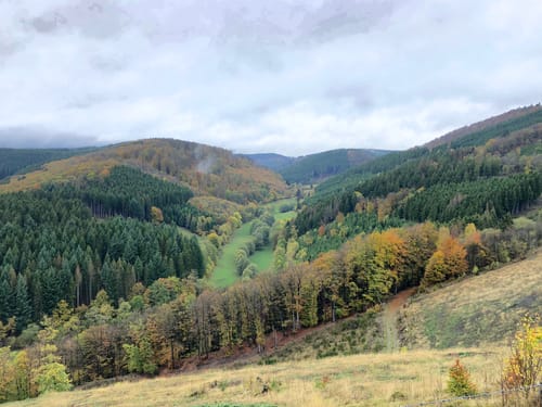 Bollerberg Rundweg