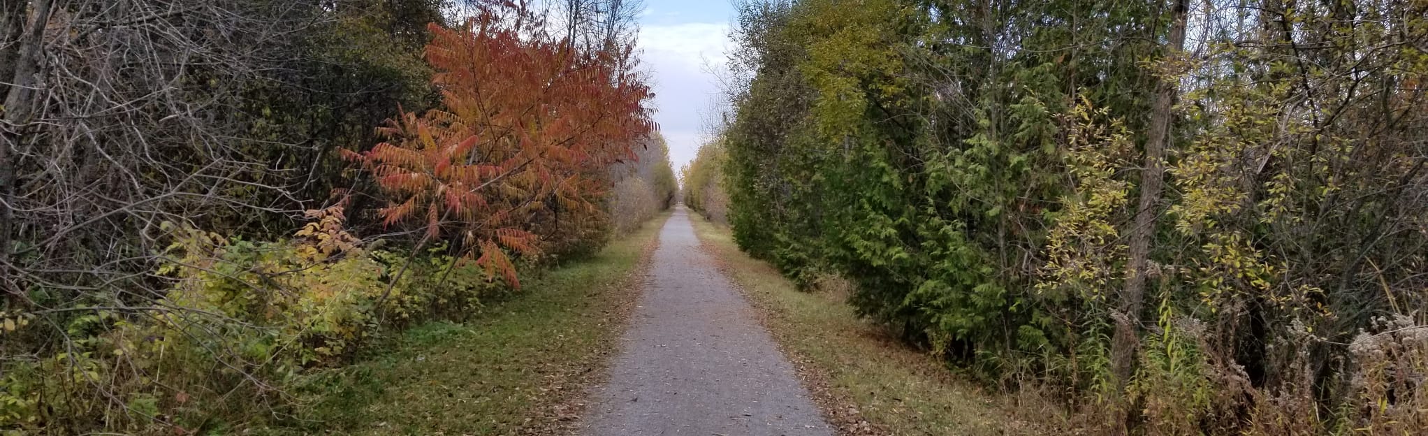 AllTrails OsgoodeLeitrum Multiuse Pathway 27 Reviews, Map