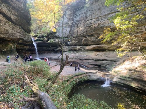 are dogs allowed in starved rock state park