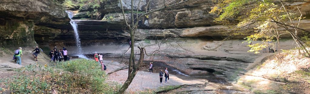 are dogs allowed in starved rock state park