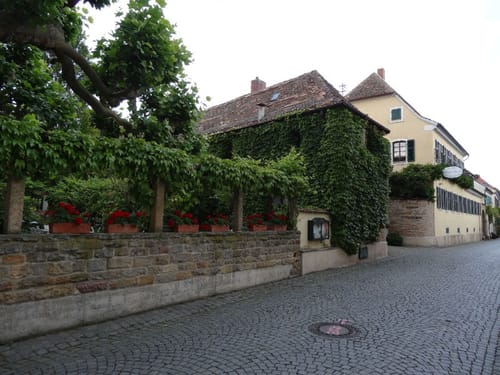 Von Römerberg ins Leininger Land nach Frankenthal