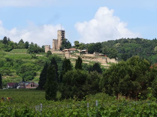 Von Römerberg ins Leininger Land nach Frankenthal