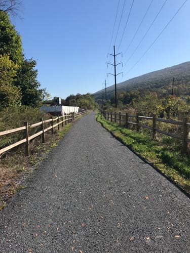 Best 10 Hikes and Trails in Bald Eagle State Forest | AllTrails