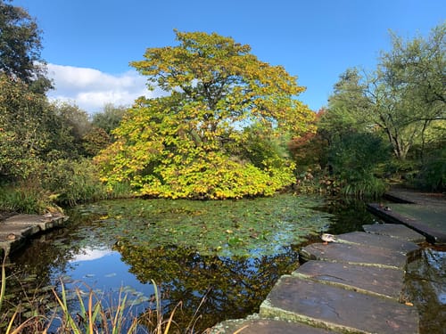 Volksgarten Düsseldorf