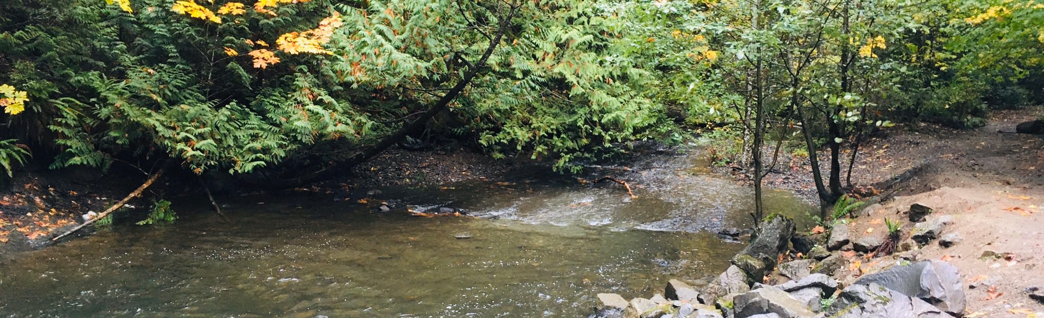 Nanaimo Lakes Road Park 149 Reviews, Map British Columbia, Canada