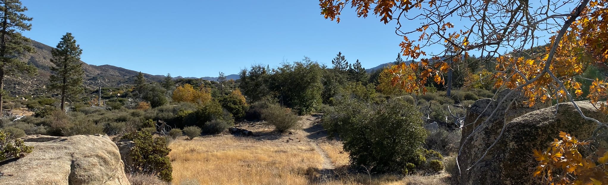 Pacific Crest Trail: Splinter’s Cabin to 3N16, California - 27 Reviews ...