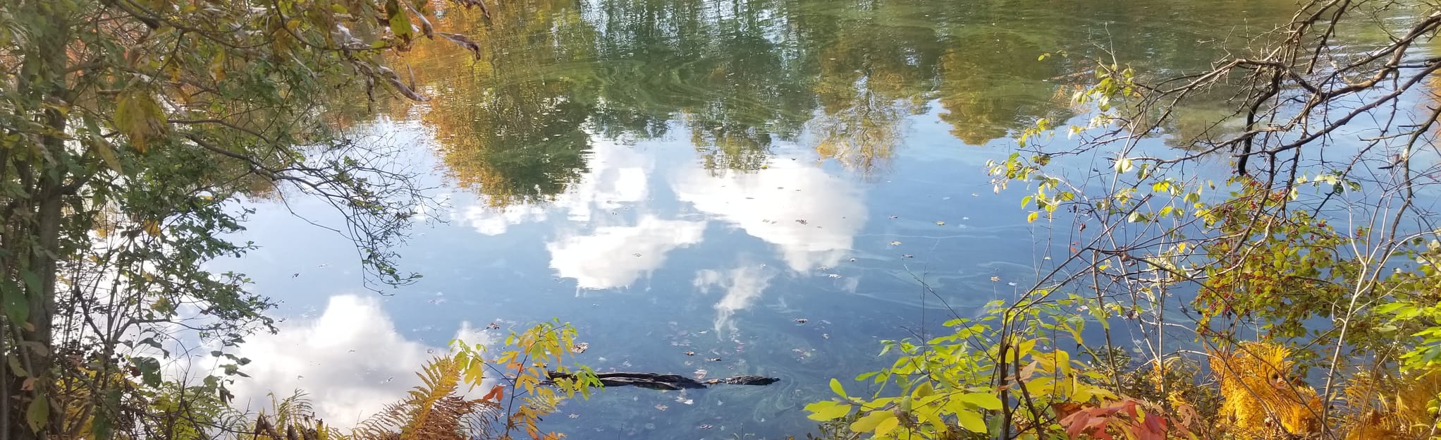 Northwest Lake Arthur Trail, Pennsylvania 208 Reviews, Map AllTrails