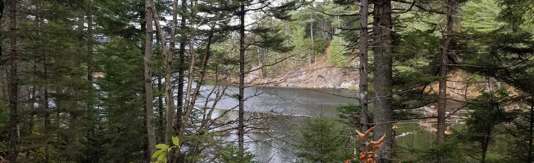 Lost Ponds, New York 10 Reviews, Map AllTrails