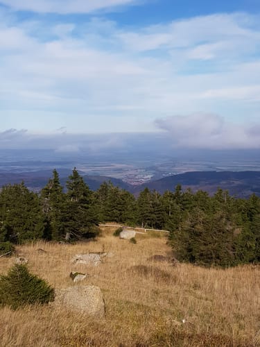 Von Schierke hinauf zum Brocken